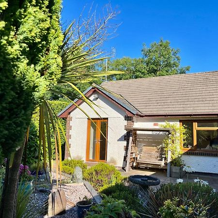 Coastal Garden Annex With Log Fire & Summer House Aberporth Exterior foto